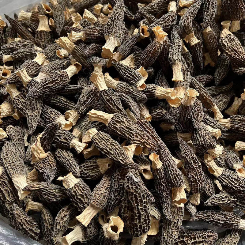 云南头茬羊肚菌干货一斤林地种植菌菇汤包煲汤食材批发