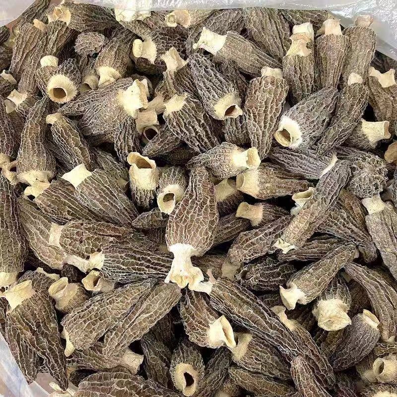 云南头茬羊肚菌干货一斤林地种植菌菇汤包煲汤食材批发