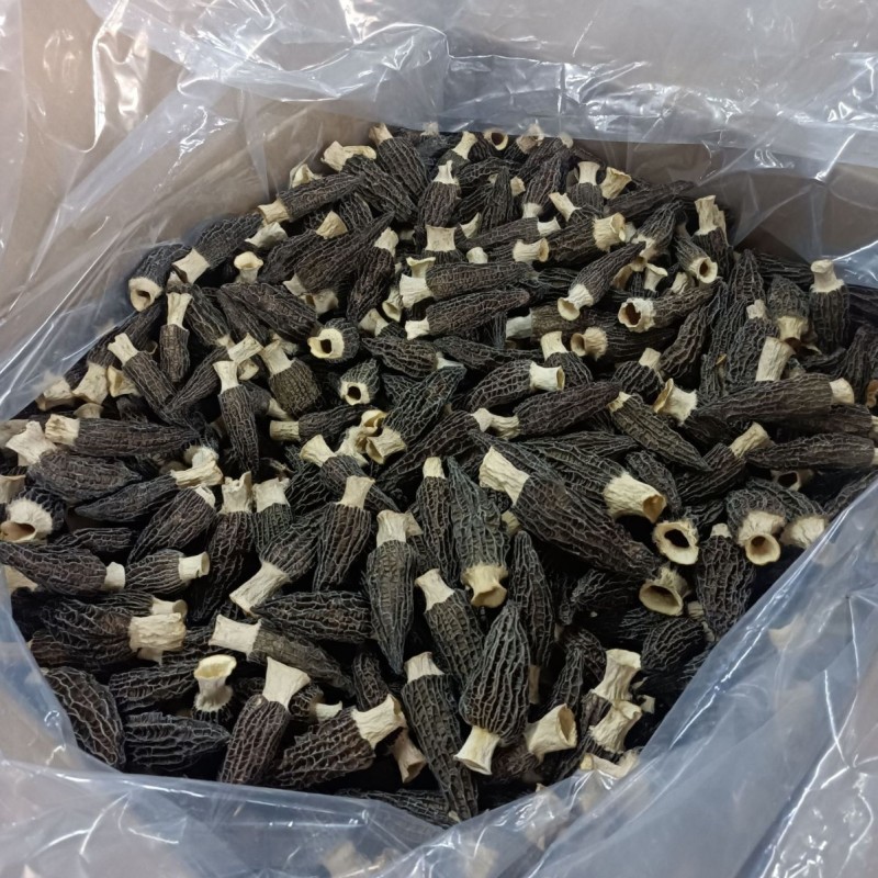 云南头茬羊肚菌干货一斤林地种植菌菇汤包煲汤食材批发