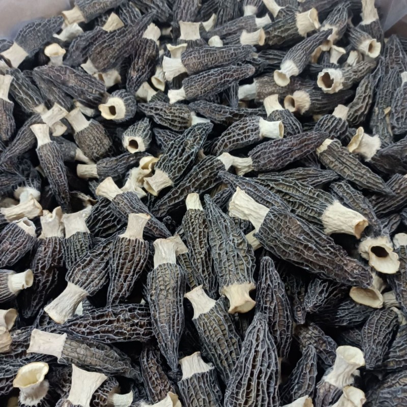 云南头茬羊肚菌干货一斤林地种植菌菇汤包煲汤食材批发