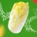 【精选娃娃菜】黄心娃娃菜各种蔬菜规格齐全品质保证
