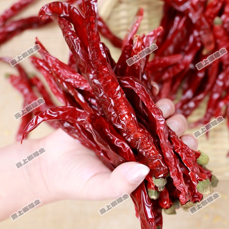 贵州本地子弹头，二荆条，灯笼椒，石柱红（艳椒）