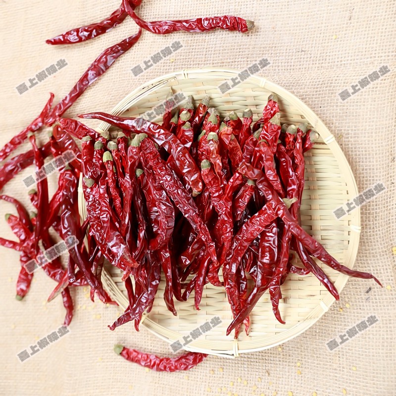 贵州本地子弹头，二荆条，灯笼椒，石柱红（艳椒）