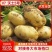 v7土豆沃土5号土豆黄皮黄心土豆精选货源全国发货