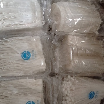 新鲜金针菇，60斤，需要的老板联系***********