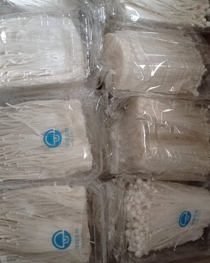 新鲜金针菇，60斤，需要的老板联系***********