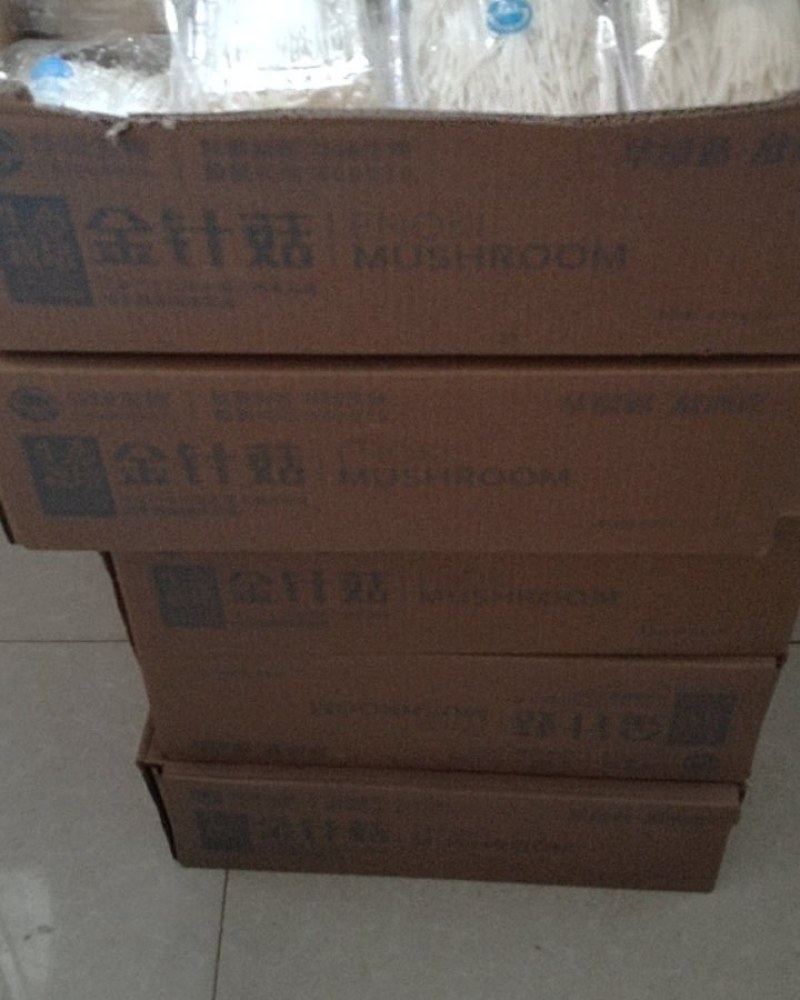 新鲜金针菇，60斤，需要的老板联系***********