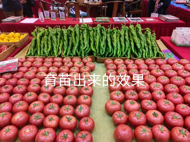 精品育苗基质厂家直发一手货源量大价优欢迎随时联系
