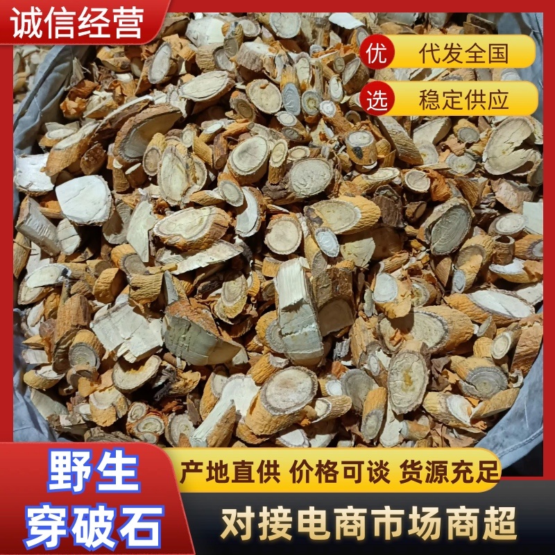 野生穿破石，现挖现发，大量有货，欢迎各位老板咨询采购