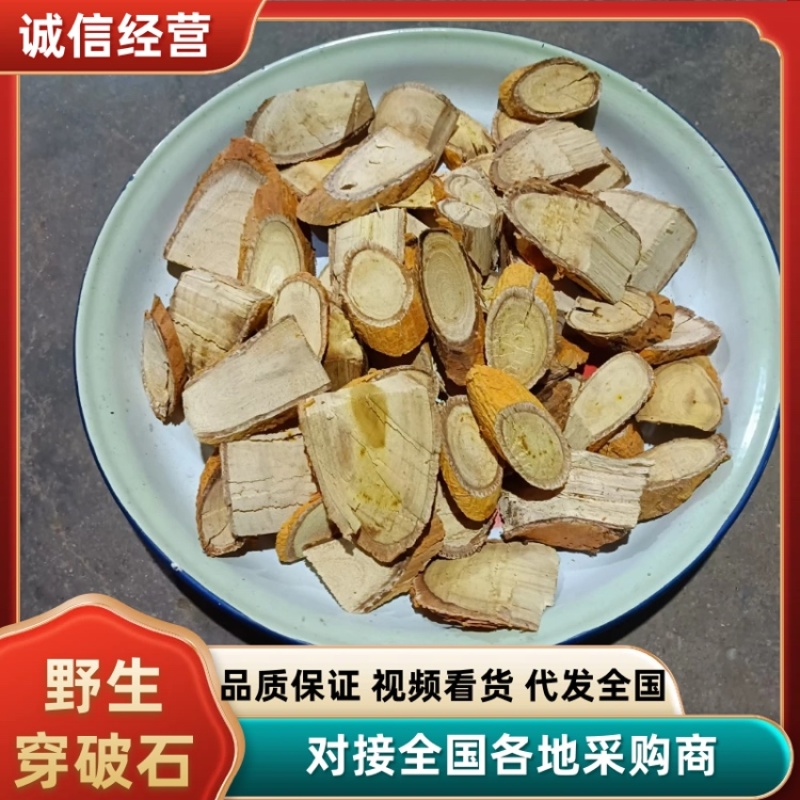 野生穿破石，现挖现发，大量有货，欢迎各位老板咨询采购
