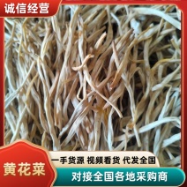 山西黄花菜,大量上市，规格齐全，品质优良，欢迎咨询