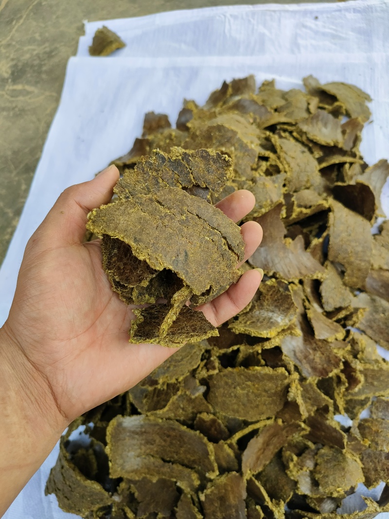 棉籽饼（油渣)苹果猕猴桃樱桃大姜大蒜使用肥