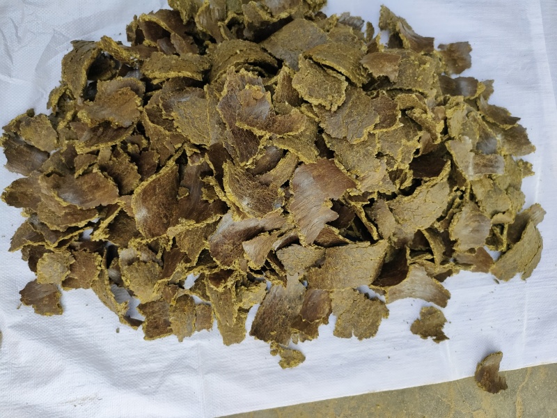 棉籽饼（油渣)苹果猕猴桃樱桃大姜大蒜使用肥