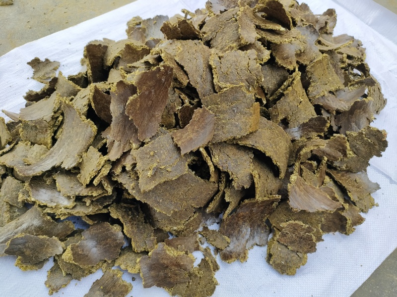 棉籽饼（油渣)苹果猕猴桃樱桃大姜大蒜使用肥