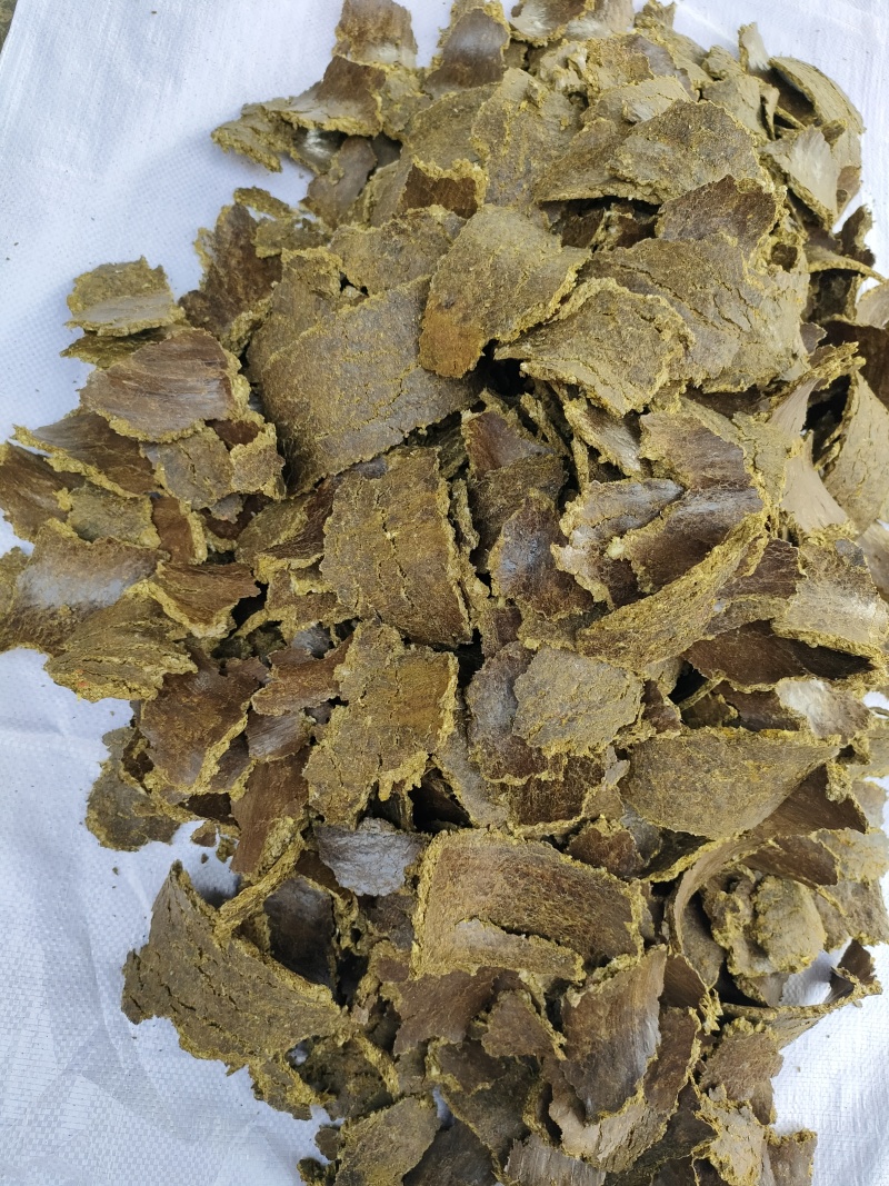 棉籽饼（油渣)苹果猕猴桃樱桃大姜大蒜使用肥