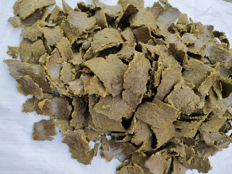 棉籽饼（油渣)苹果猕猴桃樱桃大姜大蒜使用肥