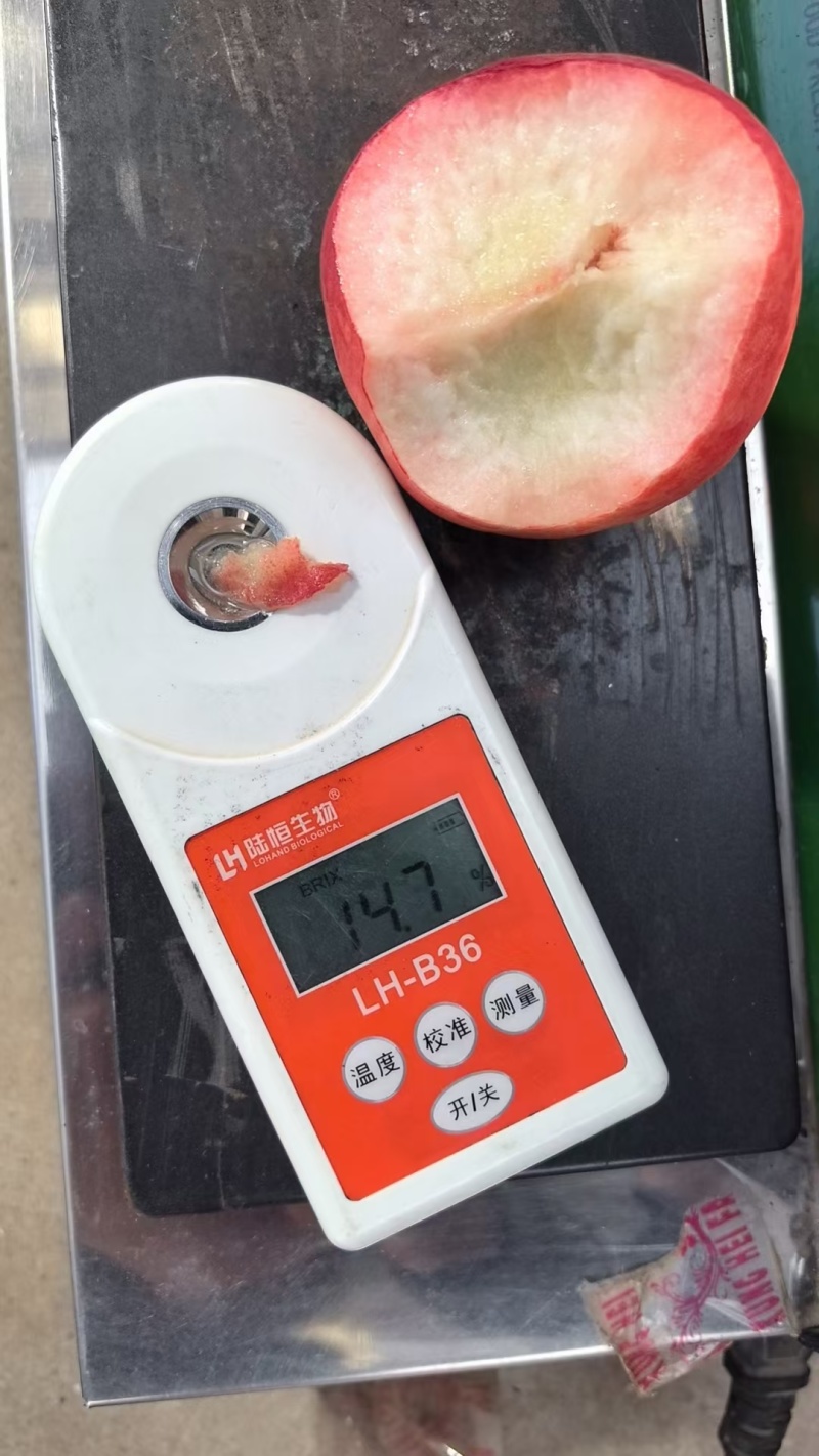 正宗水蜜桃