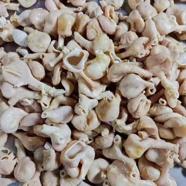 太合一级纯干整箱冷冻鸡嗉皮鸡嗉子鸡胃鸡内脏鸡杂