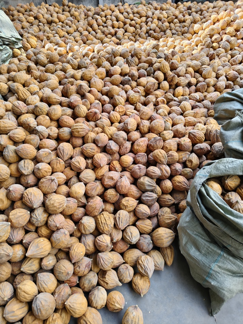 瓜蒌瓜蒌丝全瓜蒌，中药材正品新货瓜蒌规格齐全无硫