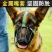 防狗咬人嘴套狗狗嘴套狗口罩防趴狗嘴罩大中小型可吃饭宠物嘴