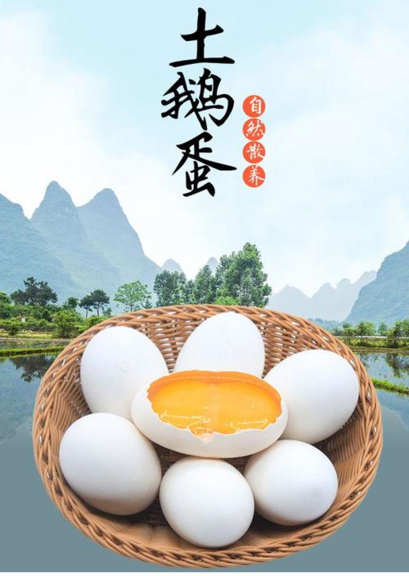 纯粮食喂养鹅蛋