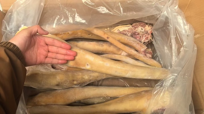 【量大优惠】山东带皮牛尾品质保障对接全国批发