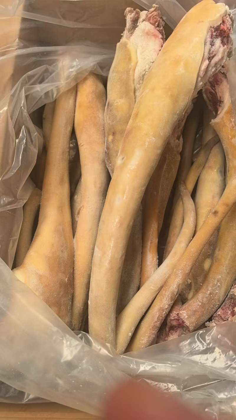 【量大优惠】山东带皮牛尾品质保障对接全国批发