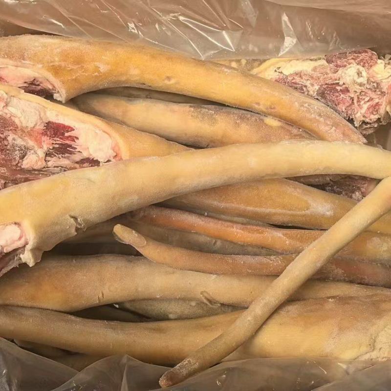 【量大优惠】山东带皮牛尾品质保障对接全国批发