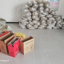 红薯粉丝