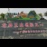 桂皮中的**，油桂，支持全国各地发货，长年供应。