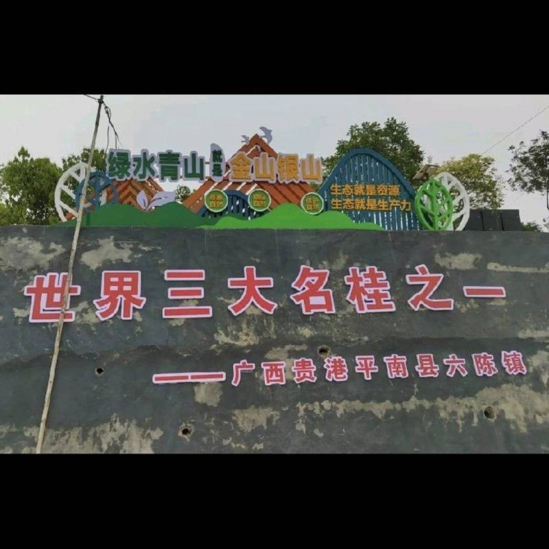 桂皮中的**，油桂，支持全国各地发货，长年供应。