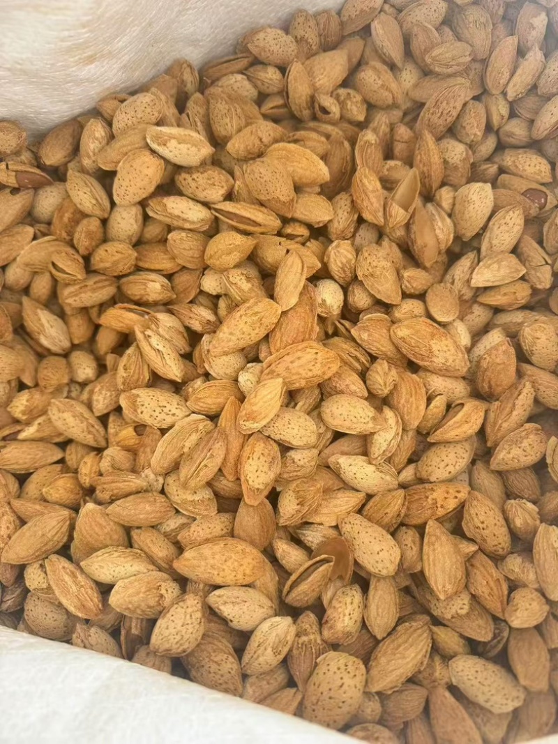 精品巴旦木大量有货对接商超量大优惠