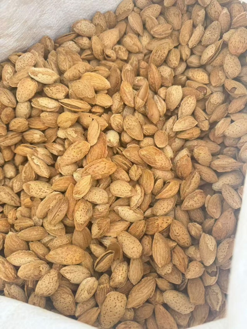 精品巴旦木大量有货对接商超量大优惠