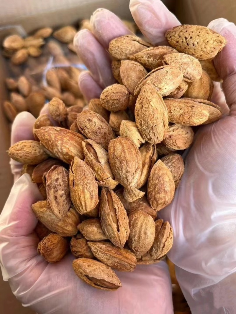 精品巴旦木大量有货对接商超量大优惠