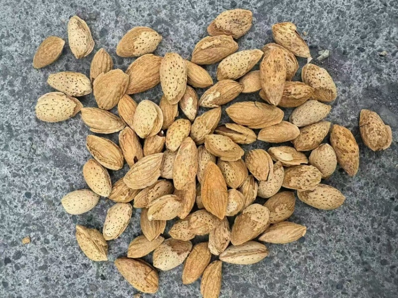 精品巴旦木大量有货对接商超量大优惠