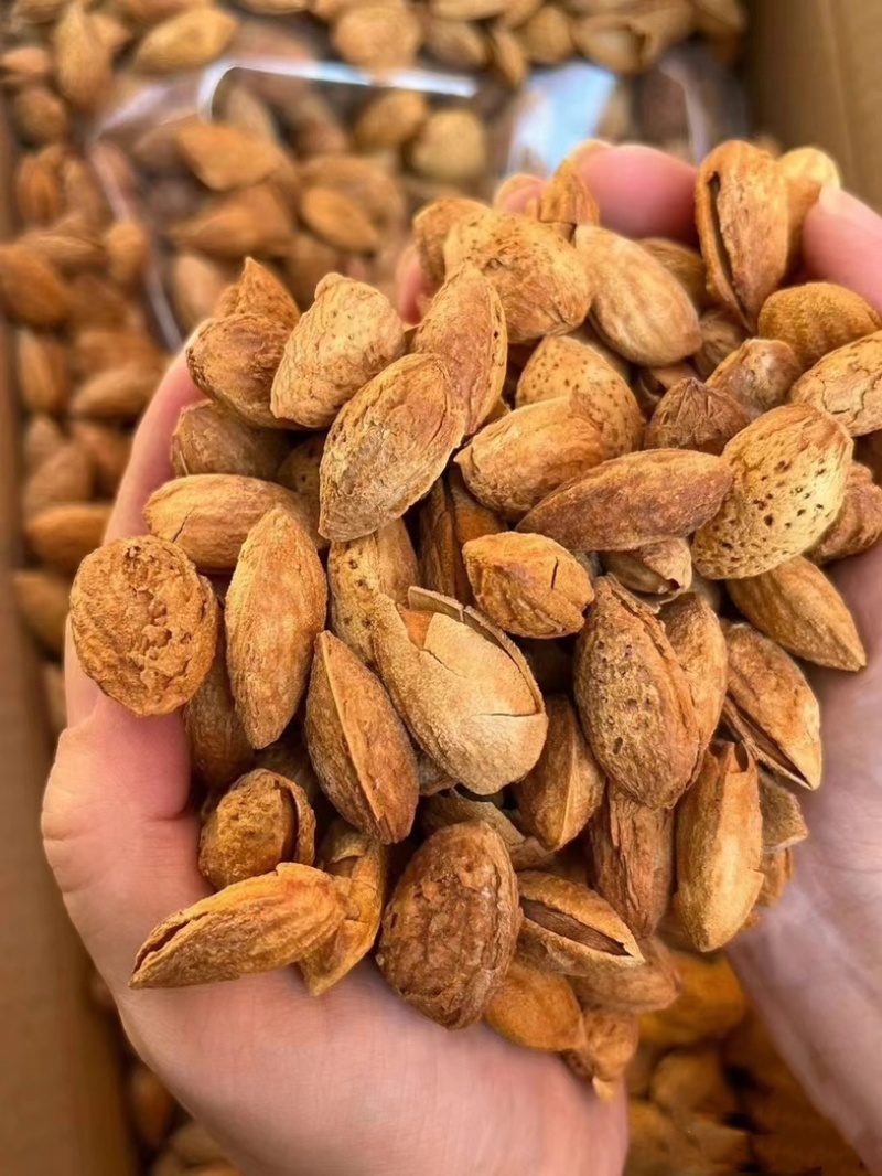 精品巴旦木大量有货对接商超量大优惠