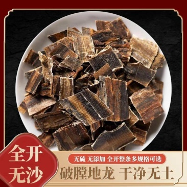 全开广西地龙干段野生正宗地龙无泥地龙正品蚯蚓