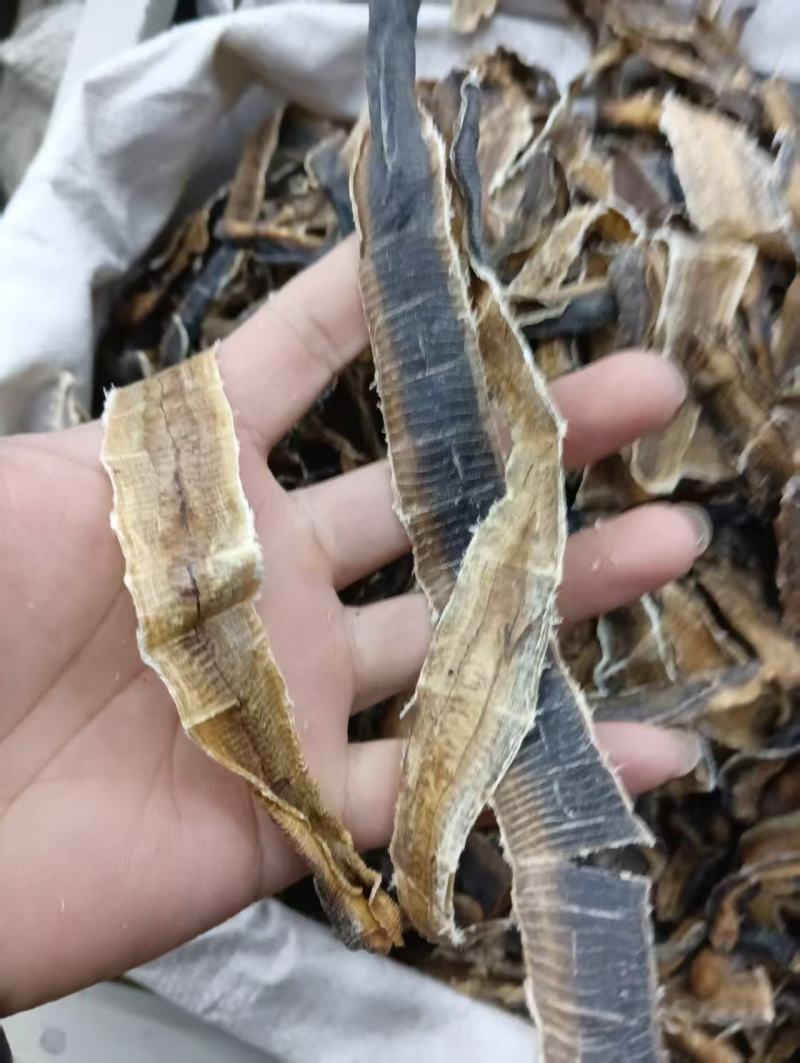 全开广西地龙干段野生正宗地龙无泥地龙正品蚯蚓