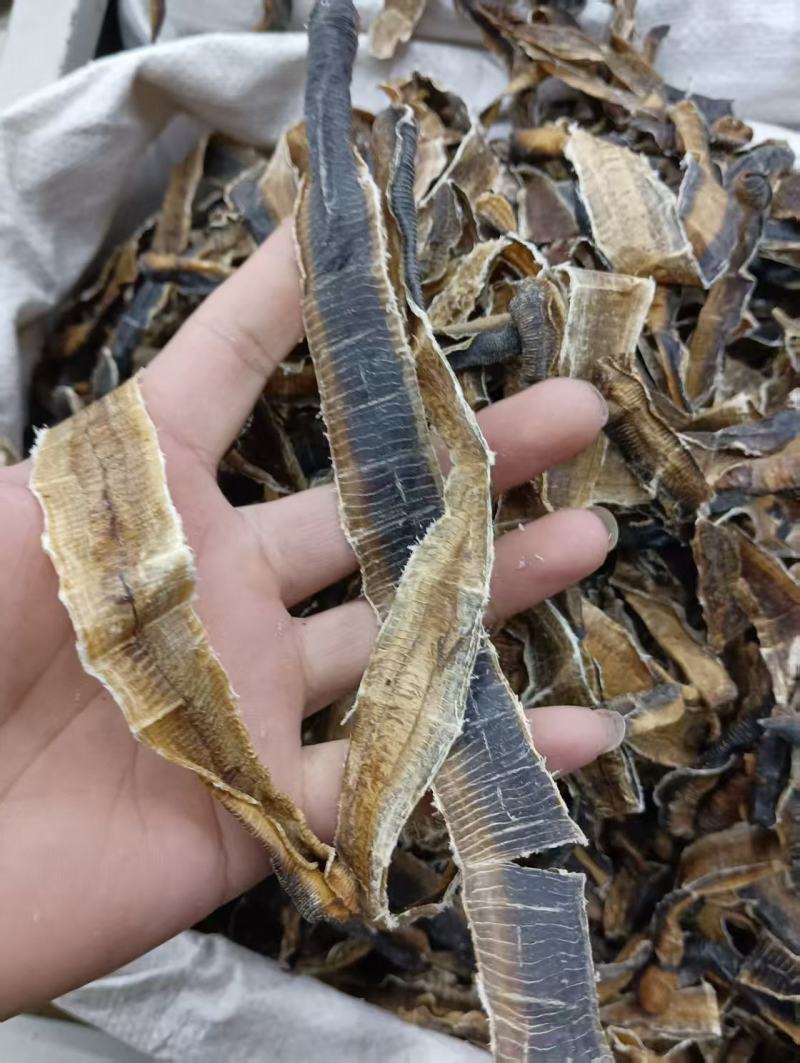 全开广西地龙干段野生正宗地龙无泥地龙正品蚯蚓