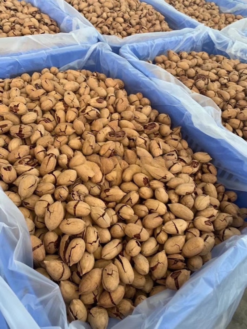 碧根果坚果大量有货诚信经营，厂家直供