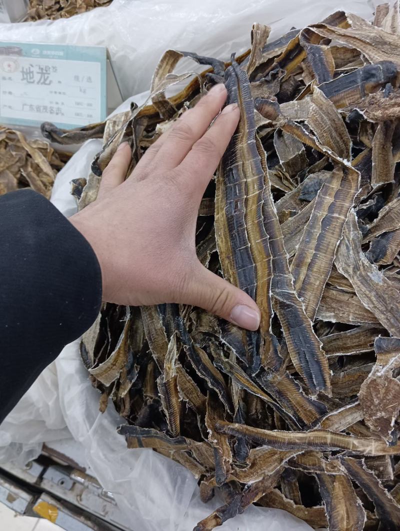 地龙中条整根药材药食用无土整条全开地龙干蚯蚓干地龙粉广地