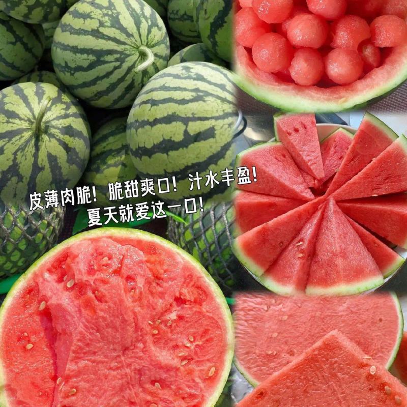 云南盈江麒麟西瓜产地供应支持视频看货实地考察全国发货