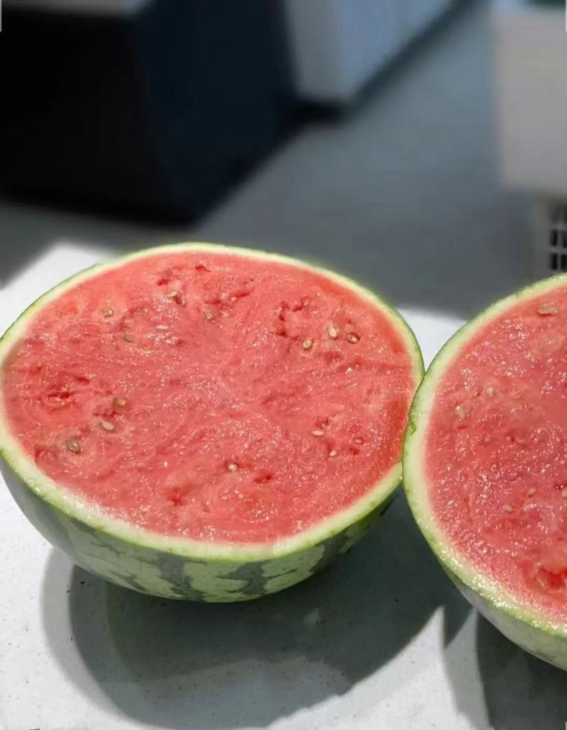 云南盈江麒麟西瓜产地供应支持视频看货实地考察全国发货