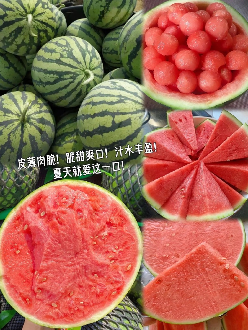 云南盈江麒麟西瓜产地供应支持视频看货实地考察全国发货