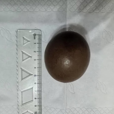 羊结石有要的私聊***********