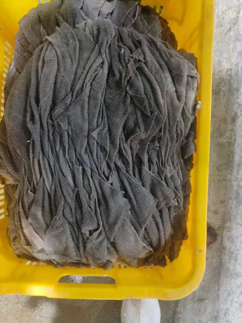 本地新鲜牛百叶品质好价格低全国发货欢迎来电
