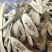 中药材白茄根1公斤新货茄根切片白茄子根中草药