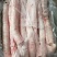 去头牛喉管（脆骨、气管）去油干净无草品质保证价格