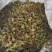 仙鹤草中药材，一手货源，品质保证，全国发货，欢迎选购