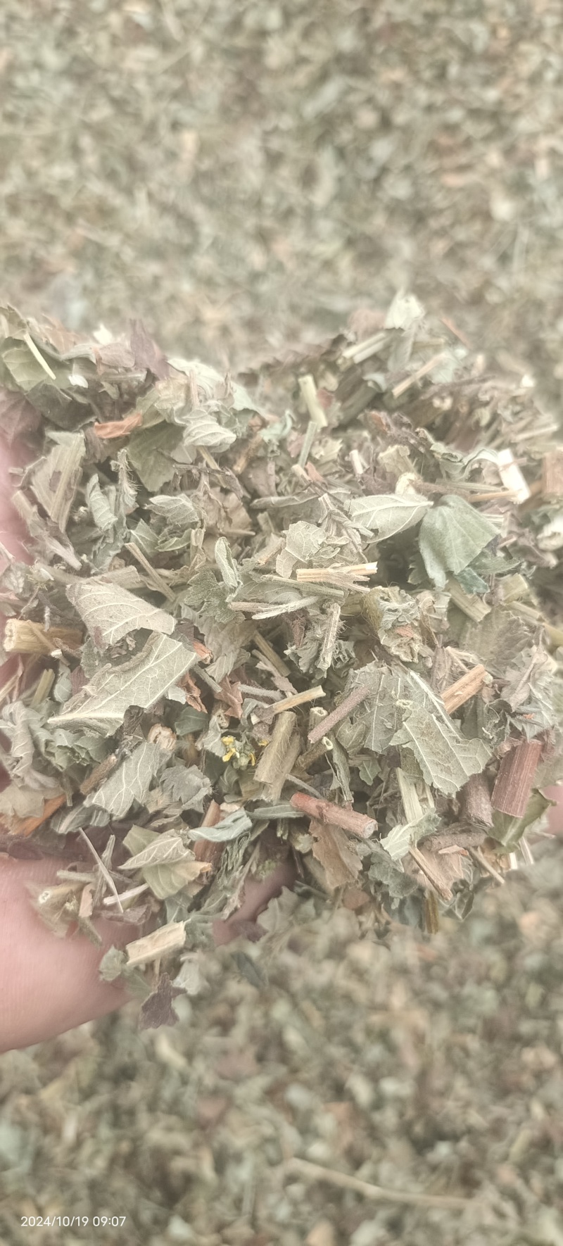 仙鹤草中药材，一手货源，品质保证，全国发货，欢迎选购